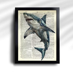 Juego de 6 impresiones de tiburón, póster vintage de tiburón, impresión vintage de tiburones, póster de especies de tiburón, arte de pared de tiburón, decoración de pared de tiburón, impresión antigua de tiburón 777 imagen 3