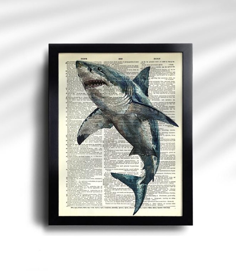 Juego de 6 impresiones de tiburón, póster vintage de tiburón, impresión vintage de tiburones, póster de especies de tiburón, arte de pared de tiburón, decoración de pared de tiburón, impresión antigua de tiburón 777 imagen 3