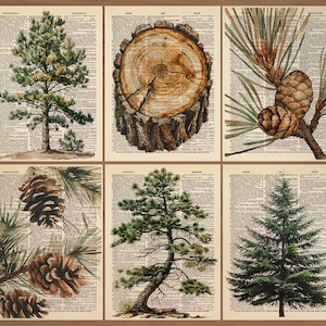 Pine Tree Print 6er Set Pine Poster Tannenzapfen Print Waldkunst Landhaus Dekor Pine Wand Dekor Pine Pine Urlaub Natur Kunstdruck 783