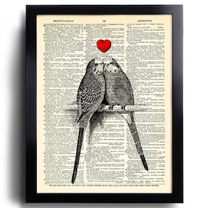 Amore uccello cuore amore stampa artistica pagina del libro arte Lory coppia pappagallo Poster cuore anniversario regalo uccelli presenti per fidanzata regalo di nozze 552