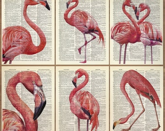 フラミンゴアート、ピンクフラミンゴ水彩画、フラミンゴプリント