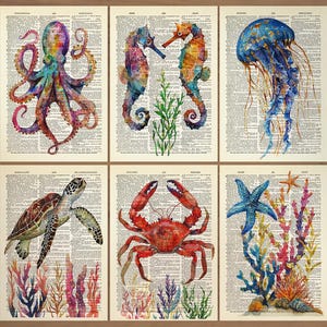 Juego de 6 láminas de vida marina, arte de pared de vida marina, juego de regalo de calamares, decoración de pared de baño de pulpos, póster de vida marina, póster náutico de caballito de mar 810 imagen 1
