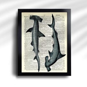 Juego de 6 impresiones de tiburón, póster vintage de tiburón, impresión vintage de tiburones, póster de especies de tiburón, arte de pared de tiburón, decoración de pared de tiburón, impresión antigua de tiburón 777 imagen 6
