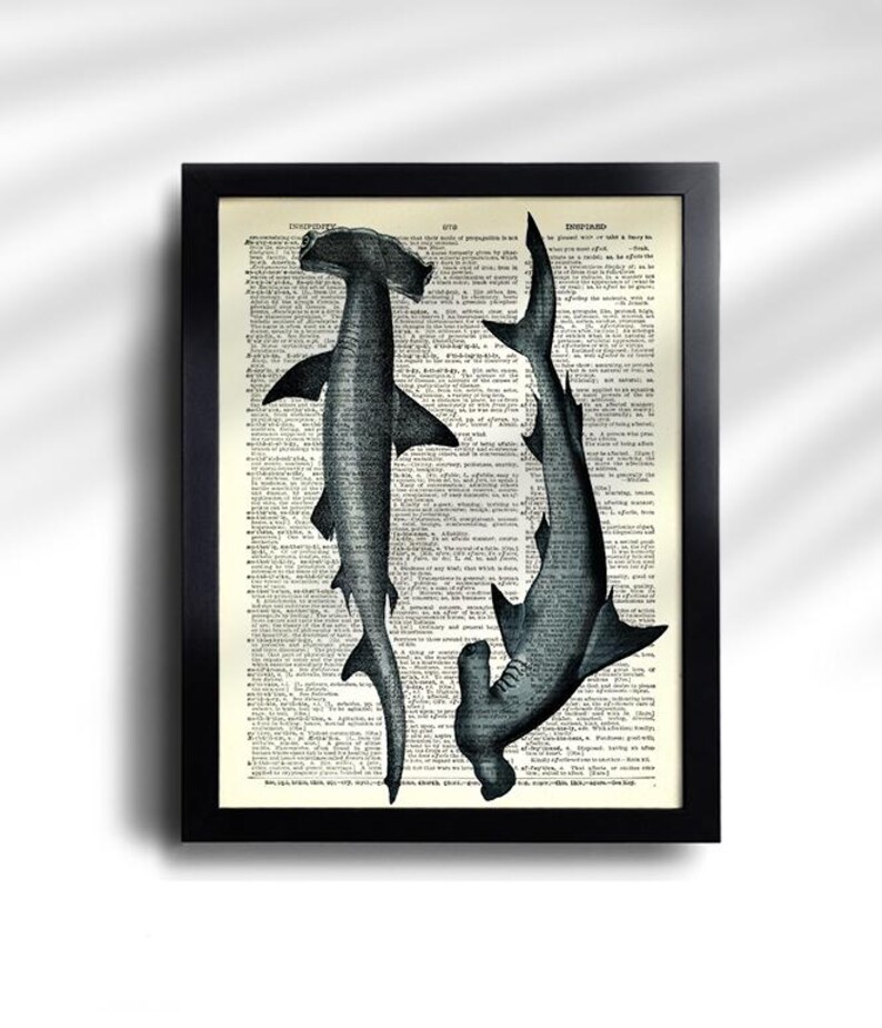 Juego de 6 impresiones de tiburón, póster vintage de tiburón, impresión vintage de tiburones, póster de especies de tiburón, arte de pared de tiburón, decoración de pared de tiburón, impresión antigua de tiburón 777 imagen 6