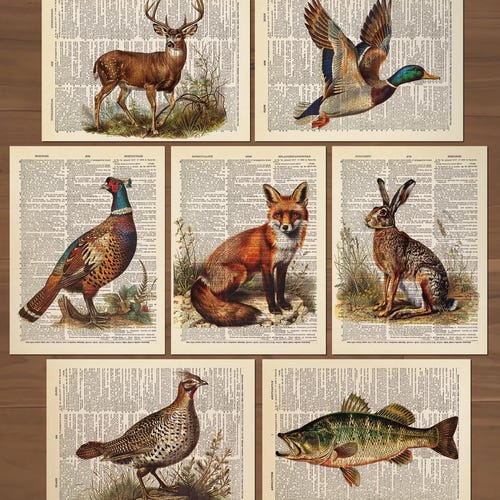 Lot de 7 impression d'art déco chasse canard colvert pêche chasse art mural chasse pépinière déco canard affiche vintage cerf affiche renard pépinière 867