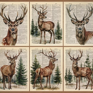 Deer Print set of 6 Deer Prints Deer Poster Deer Wall Ar Dear Gift Deer Painting Deer Antlers Wall Decor Stag Wall Decor Antler Print 823