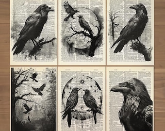 Könnte beinhalten: Ein Set aus sechs Kunstdrucken mit Illustrationen schwarzer Raben auf alten Wörterbuchseiten. Die Motive zeigen Raben auf Ästen, im Flug durch einen Wald und als Paar innerhalb eines kreisförmigen, sternenreichen Rahmens.