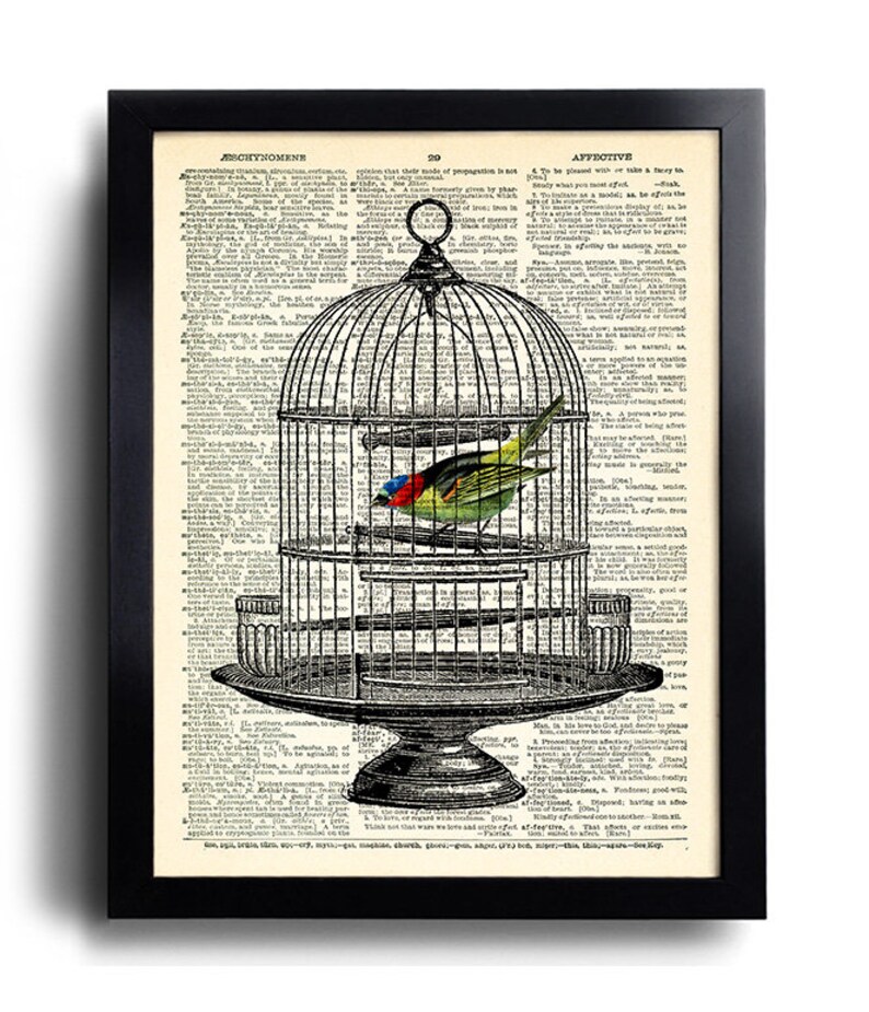 Bird Cage Birds Art Print Dictionary Page Art Decor Etsy