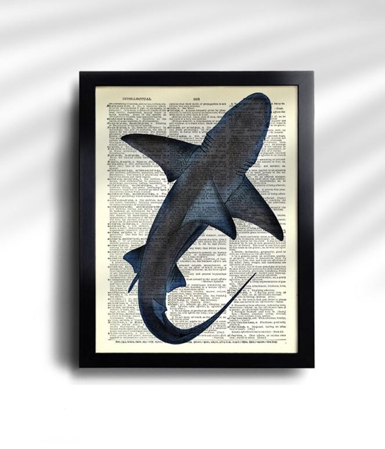 May include: Framed print featuring a detailed illustration of a shark in shades of blue and gray. The artwork is set against a vintage dictionary page background, adding a classic touch. The black frame enhances the overall aesthetic.