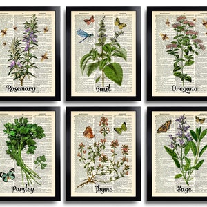 Puede incluir: Conjunto de seis impresiones enmarcadas que presentan ilustraciones bot&aacute;nicas vintage de hierbas, incluyendo romero, albahaca, or&eacute;gano, perejil, tomillo y salvia. Cada impresi&oacute;n presenta una hierba diferente con delicadas mariposas y un fondo de p&aacute;gina de libro vintage.