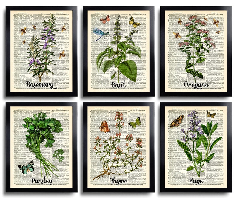 Puede incluir: Conjunto de seis impresiones enmarcadas que presentan ilustraciones bot&aacute;nicas vintage de hierbas, incluyendo romero, albahaca, or&eacute;gano, perejil, tomillo y salvia. Cada impresi&oacute;n presenta una hierba diferente con delicadas mariposas y un fondo de p&aacute;gina de libro vintage.