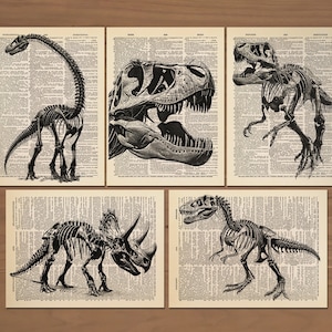 Set di 5 stampe di dinosauri, poster con scheletro di dinosauro, decorazioni per dinosauri, stampe da parete con dinosauri, stampe per camerette con dinosauri, decorazioni per camerette, T-Rex, 756