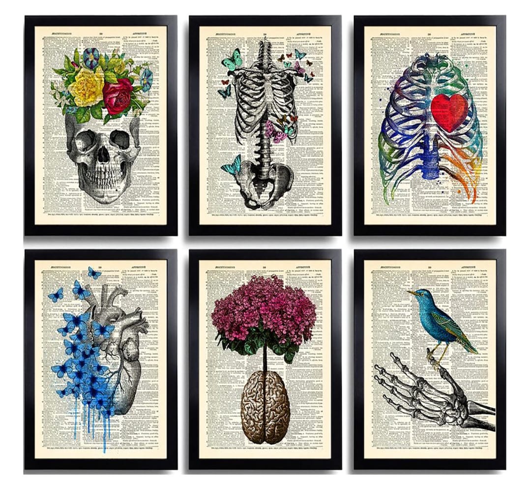 Anatomy Art Print Set 6 Medical Wall Art Anatomical Poster Home Decor ...