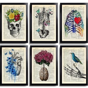 Anatomy Art Print Set 6 Medical Wall Art Anatomical Poster Home Decor Gifts Anatomical Gift Set of Posters Vintage Human Anatomy Skull 630