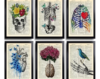 Anatomie-Kunstdruck-Set, 6-teiliges Set, Medizinische Wandkunst, Anatomisches Poster, Heimdekoration, Geschenkidee, Anatomisches Geschenkset mit Postern, Vintage-Motiv: Menschlicher Schädel, 630