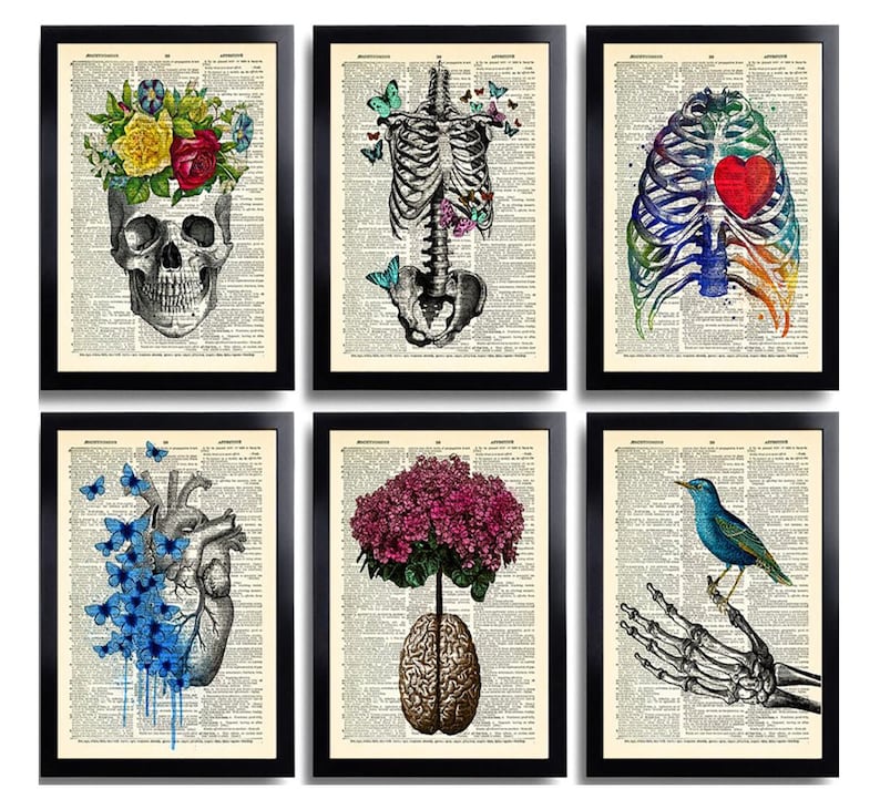 Anatomy Art Print Set 6 Medical Wall Art Anatomical Poster Home Decor ...