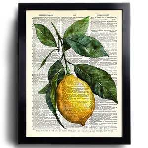 May include: A framed print featuring a watercolor illustration of a lemon and green leaves on a dictionary page. The black frame surrounds the artwork, which is a botanical theme.