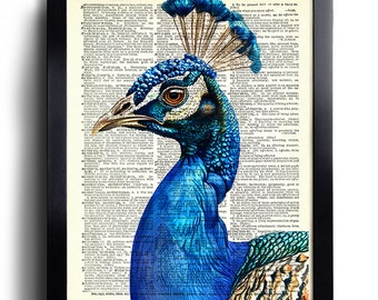 Peacock Wall Art Set of 6 Peacock Print Peacock Feather Wall Art