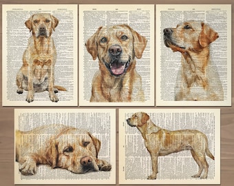 Labrador Retriever Print set of 5 Labrador Retriever Poster Labrador Retriever Wall Decor Cool Artwork for Dog Lovers Gift for Wife Gift 790