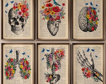 May include: A set of six framed prints featuring anatomical illustrations including a skull, heart, brain, lungs, rib cage, and hand, each overlaid with colorful floral arrangements and blue butterflies on a vintage dictionary page background.