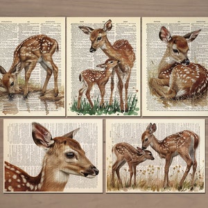 Conjunto de 5 pôsteres de veados, pintura de cervos, arte impressa, presentes de veados da floresta, pintura de veados, decoração de parede de veados bebês 749