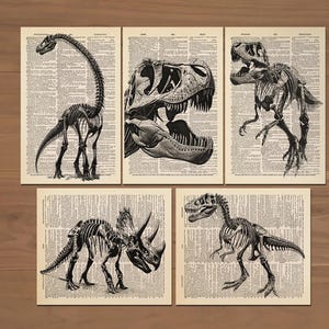 Lot de 5 affiches de squelette de dinosaure, décoration de dinosaure, art mural de dinosaure, impression de dinosaure pour chambre d&#39;enfants, décoration de chambre d&#39;enfants, art mural T-Rex 0756