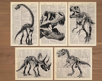 Dinosaur Print Set of 5 Dinosaur Skeleton Poster Dinosaur Decor Dinosaur Wall Art Dinosaur Nursery Print Kids Room Decor T-Rex Wall Art 0756