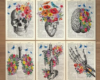 Juego de 6 impresiones de anatomía, arte mural médico floral, póster de anatomía humana, regalos para médicos, regalo anatómico, arte vintage de calavera y flores de anatomía humana 0735