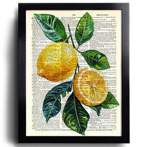 May include: A framed print featuring a botanical illustration of lemons and leaves. The lemons are yellow, with one sliced open, and the leaves are green. The background is a vintage dictionary page, and the frame is black.