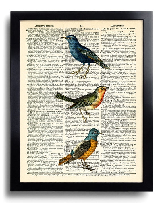 Birds Bird Dictionary Art Print Bird Poster Wall Decor Etsy