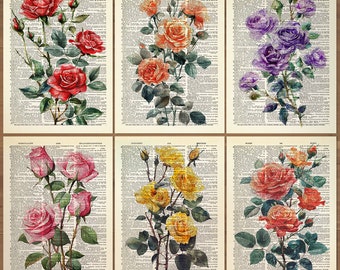 Rose Flower Print set of 6 Rose Flowers Wall Art Rose Poster Rose Print Red Rose Watercolor Flower Gallery Vintage Rose Floral Poster 819
