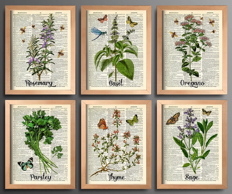 Puede incluir: Conjunto de seis estampados bot&aacute;nicos enmarcados que representan diversas hierbas, incluyendo romero, albahaca, or&eacute;gano, perejil, tomillo y salvia. Cada estampado presenta una ilustraci&oacute;n de estilo vintage de la hierba con mariposas y etiquetas de texto.