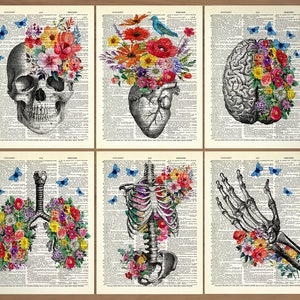 Lot de 6 impressions florales médicales murales, affiches de l'anatomie humaine, docteur, cadeaux anatomiques, anatomie humaine vintage, tête de mort, fleurs, art 735