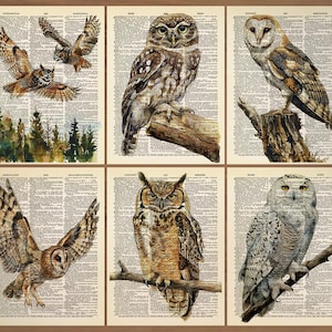 Eulen Set 6 Stück Eule Waldtiere Wand Kunst Eule Poster Eulenbild Eule Kinderzimmer Wanddeko Eulenwald Druck Geschenk Set Vintage Eule 0855