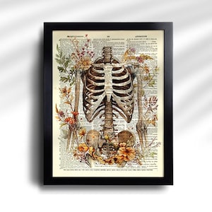 Anatomy Print Set 6 Medical Wall Art Anatomical Poster Home Decor Gifts ...