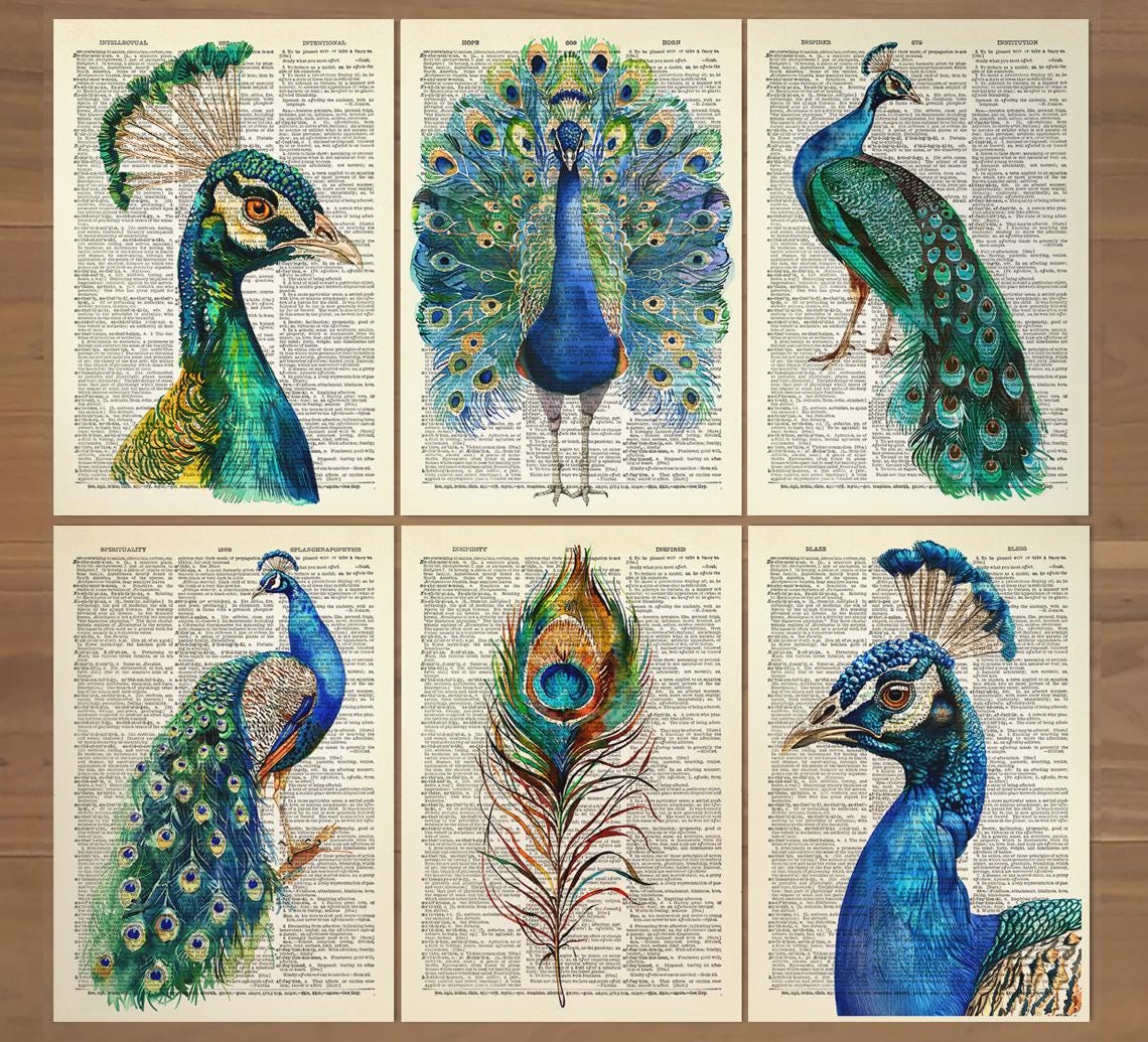 ★Original ART  ‘Peacock’ il_fullxfull.7059883496_qkvu.jpg