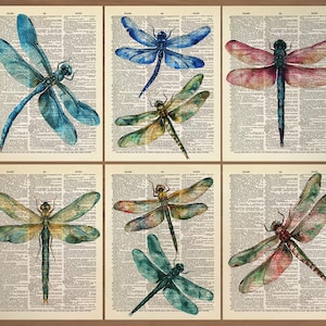 Dragonfly Print Set of 6 Dragonfly Prints Vintage Dragonfly Poster Dragonfly Wall Art Dragonfly Wall Decor Dragonfly Art Dragonfly Gift 800