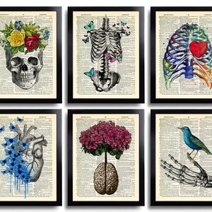 Anatomy Poster Set 6 Anatomy Art Anatomical Heart Home Decor Gifts Anatomical Gift Set Vintage Human Anatomy Skull Print Medical Art 630