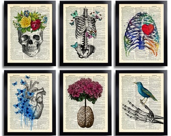 Anatomy Art Print Set 6 Medical Wall Art Anatomical Poster Home Decor Gifts Anatomical Gift Set of Posters Vintage Human Anatomy Skull 630