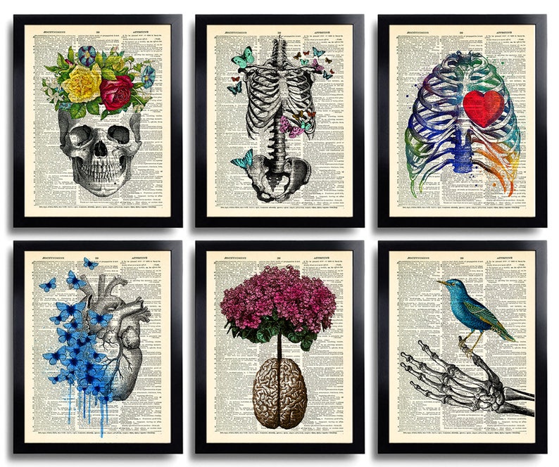 Anatomy Art Print Set 6 Medical Wall Art Anatomical Poster Home Decor Gifts Anatomical Gift Set of Posters Vintage Human Anatomy Skull 630 image 1