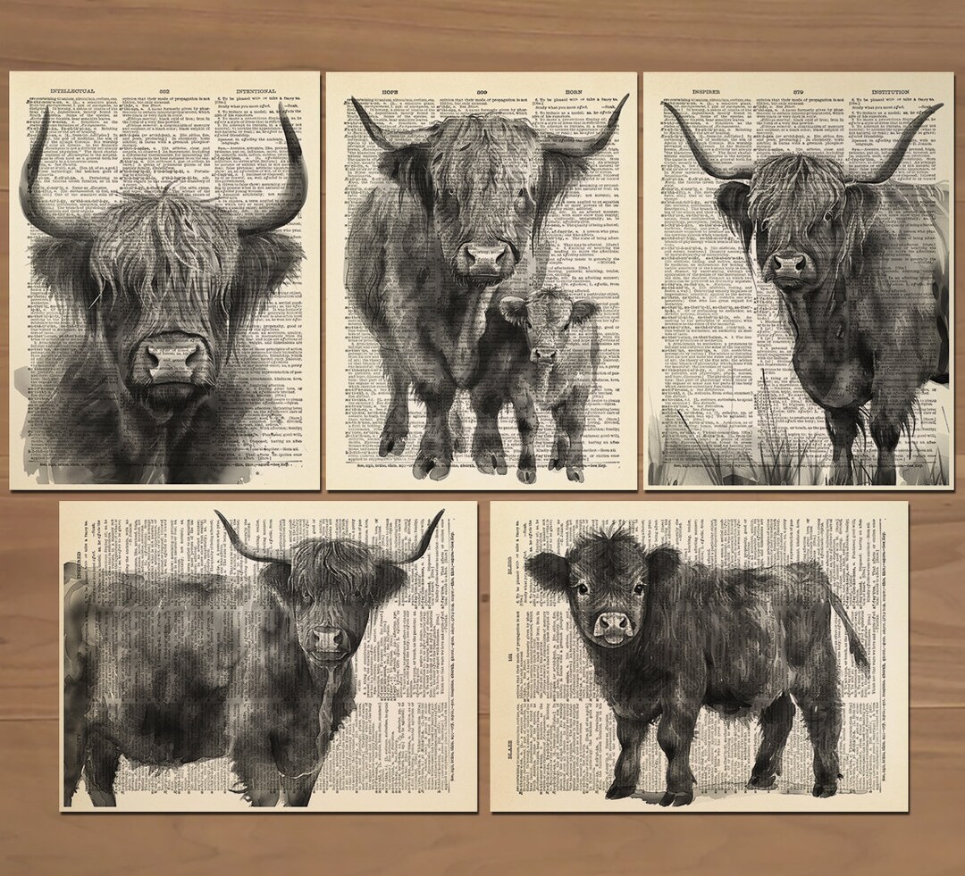 Highland Cow Print Set of 5 Highland Cow Poster Shaggy Cow Painting