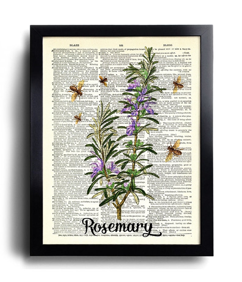 Puede incluir: Una p&aacute;gina de diccionario vintage con una ilustraci&oacute;n de romero y abejas. La palabra "Rosemary" est&aacute; escrita en una fuente decorativa en la parte inferior de la p&aacute;gina.