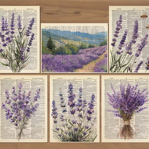 May include: Six vintage book pages with lavender flowers printed on them. The pages are all different sizes and have different text on them. The flowers are all purple and have green stems. The pages are all white and have a yellowed tint.
