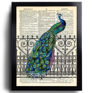 Peacock Art Print Peacock Decorative Art Peacock Dictionary Print Peacock Wall Decor Gift for her Peacok Illustration Peacock Poster 022