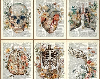 Anatomy Print Set 6 Medical Wall Art Anatomical Poster Home Decor Gifts Anatomical Gift Set of Posters Vintage Human Anatomy Skull Art 728