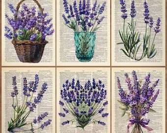 Lavender Prints set of 6 Wildflower Poster Lavender Wall Art Lavender Painting Flower Gallery Wall Set Vintage Lavender Floral Poster 872