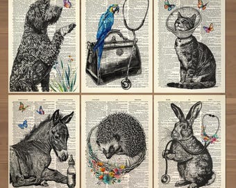 Lot de 6 imprimés vétérinaires animaux art mural vétérinaire décoration de bureau vétérinaire cadeau vétérinaire affiche médecin cadeau vétérinaire affiche vétérinaire 850