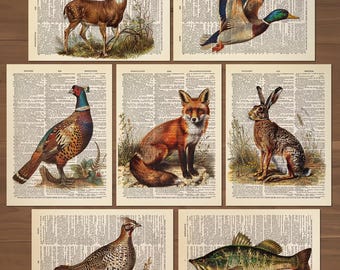 Conjunto de 7 pôsteres decorativos de patos-reais para decoração de caça, incluindo pôsteres de pesca e caça, pôsteres vintage de veados e raposas (código 0867).