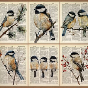Set di 6 stampe di uccelli cinciallegra, poster di uccelli cinciallegra, stampa di uccelli cinciallegra, regalo di uccelli cinciallegra, arte murale di uccelli cinciallegra, stampa di uccelli cinciallegra, arte murale di uccelli cinciallegra vintage 804