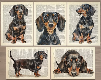 Lot de 5 impression chien teckel affiche chien cool art chien teckel décoration murale chien cool oeuvre cadeau pour papa cadeau pour femme cadeau 788